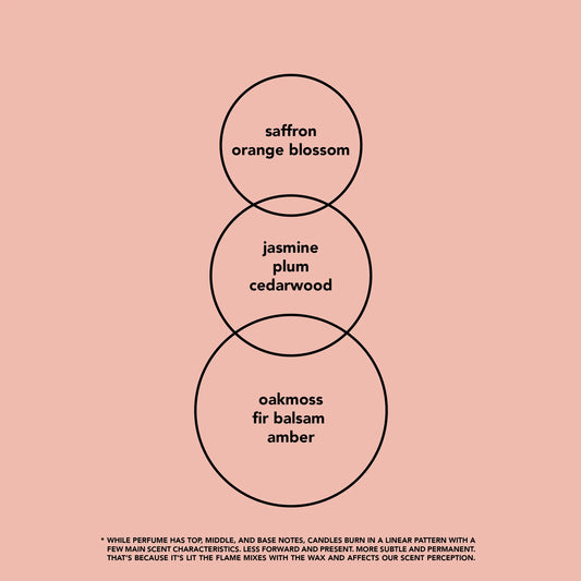 Baccarat Rouge - 3 Wick