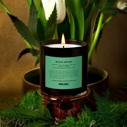 Black Opium - 3 Wick